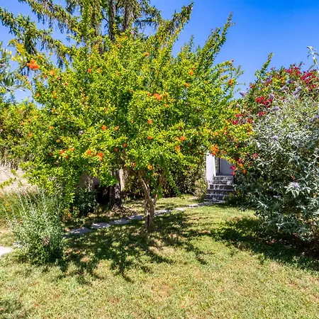 Vallee De L'herault * Gignac (Herault)